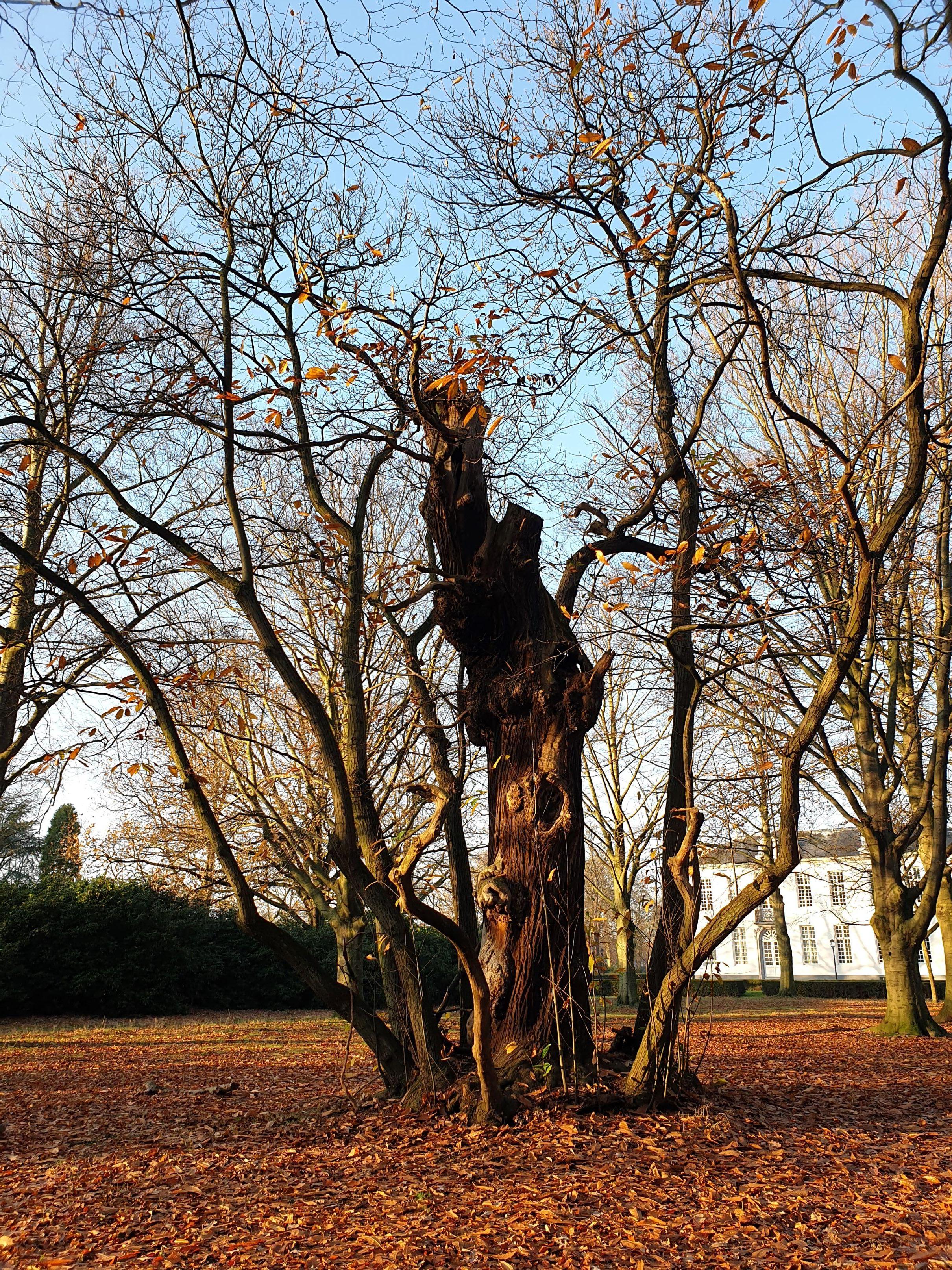 Park Sorghvliedt-Hoboken-districthuis